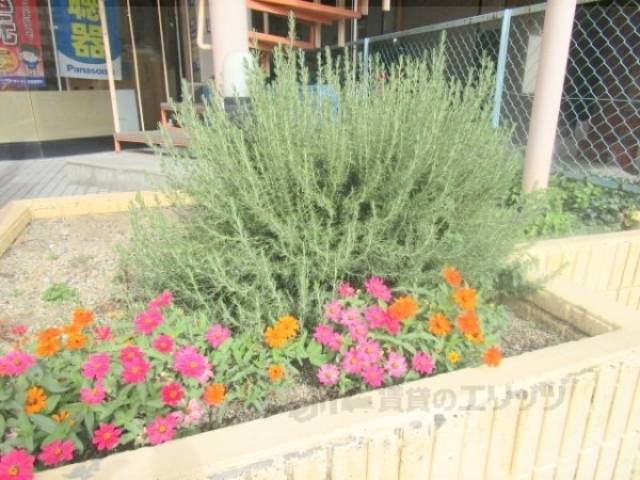 植栽