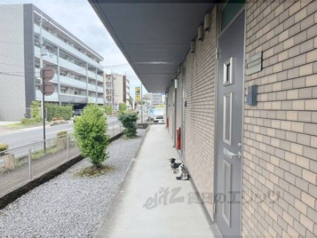 通路