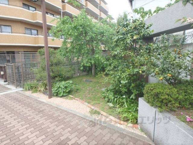 植栽