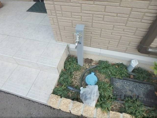 蛇口