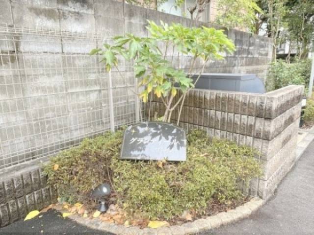 植栽