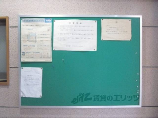 掲示板