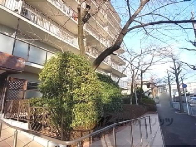 植栽