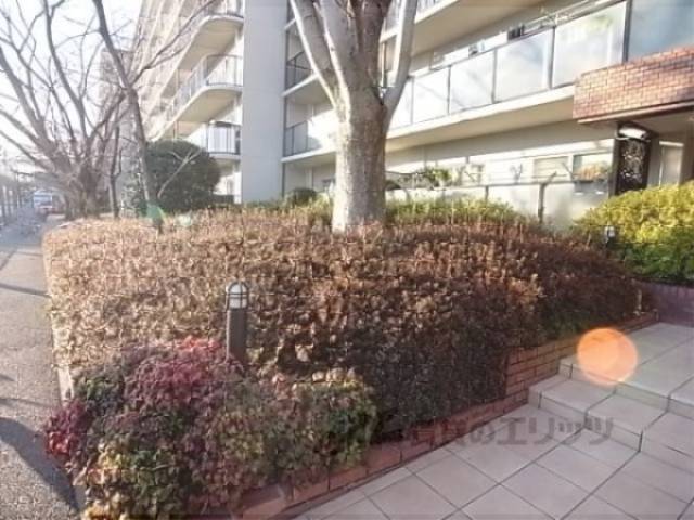 植栽
