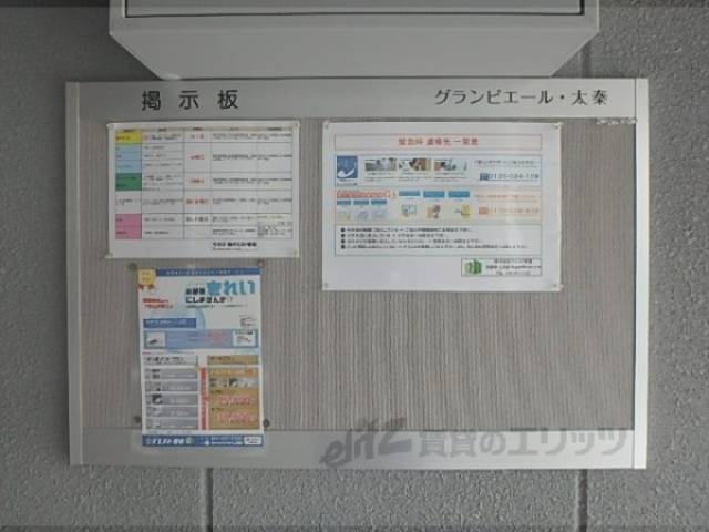 掲示板
