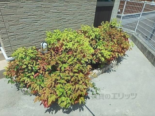 植栽