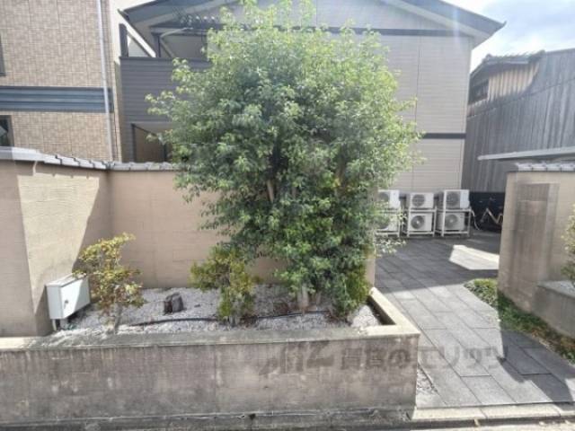 植栽