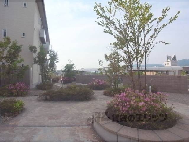 植栽