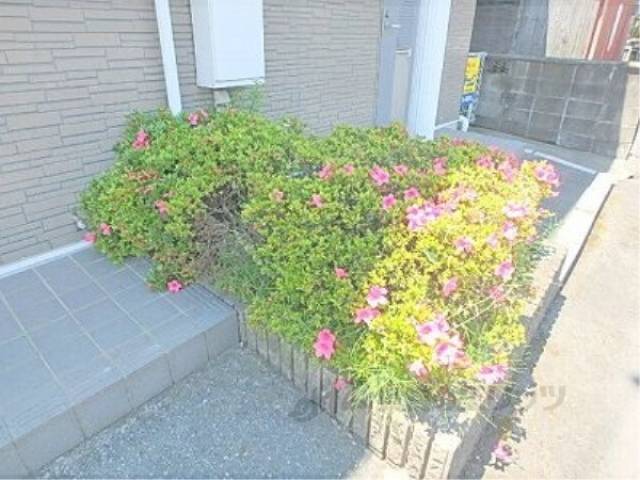 植栽