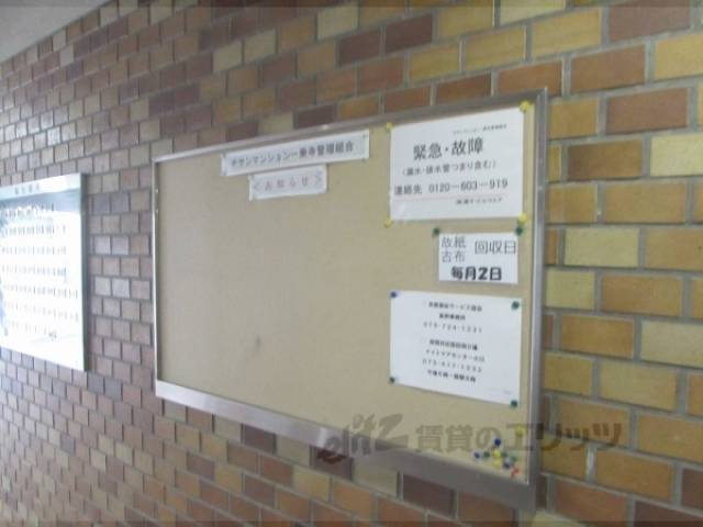 掲示板