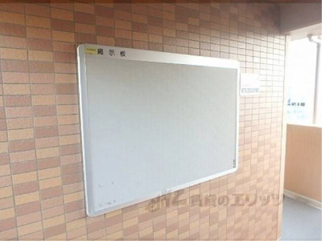 掲示板