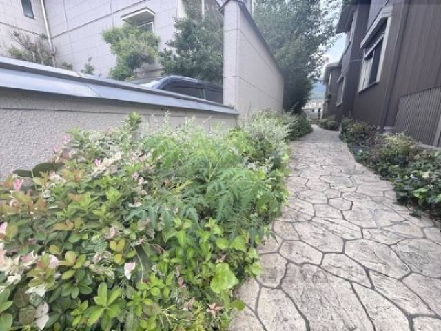 植栽
