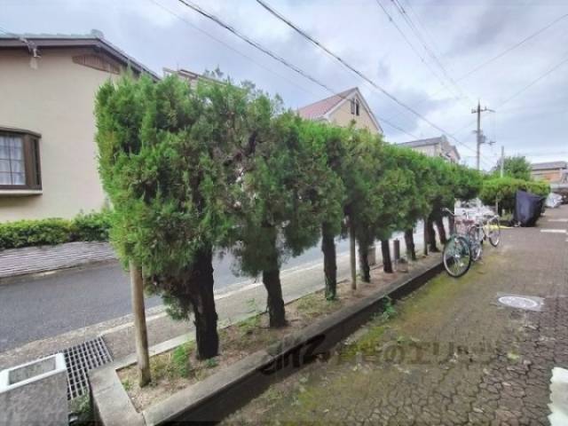 植栽