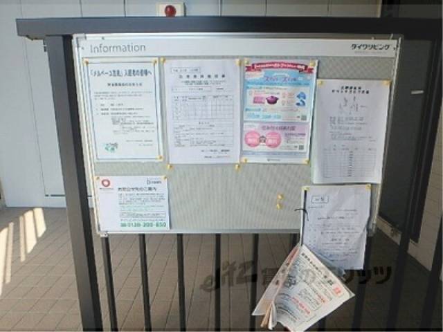 掲示板