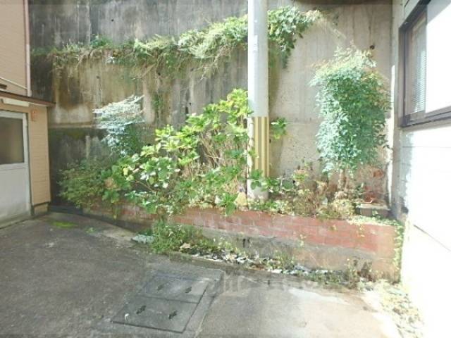 植栽