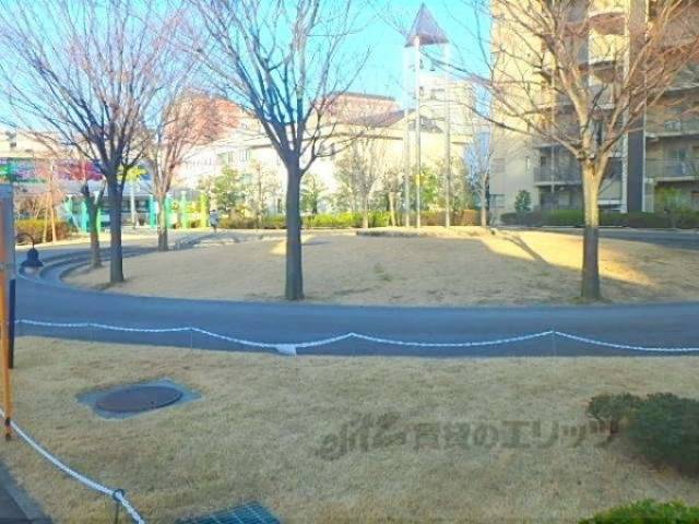 植栽