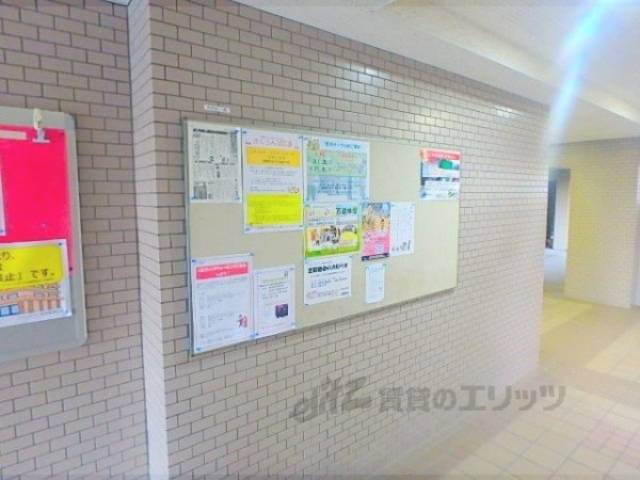 掲示板