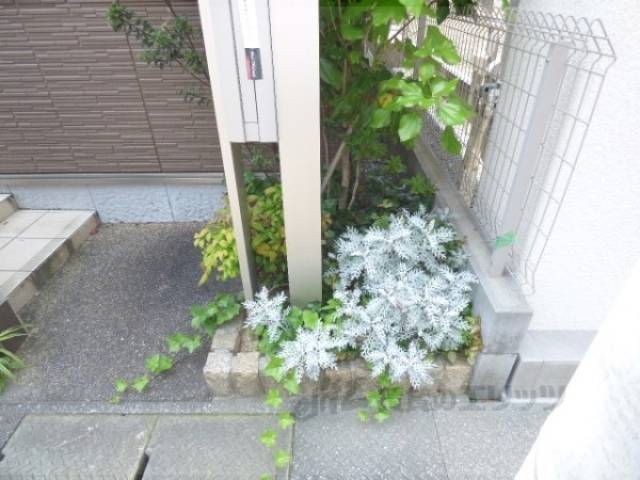 植栽