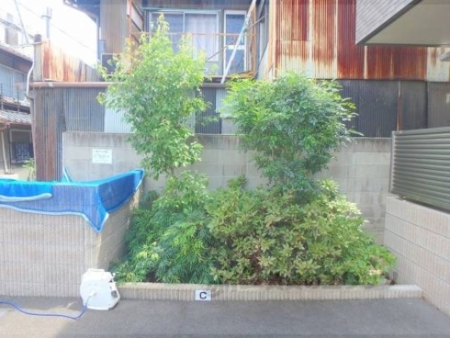 植栽