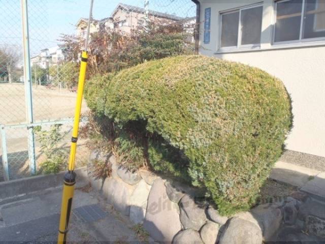 植栽