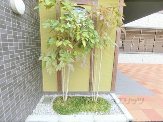 植栽