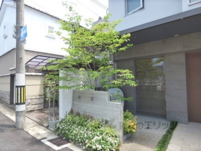植栽