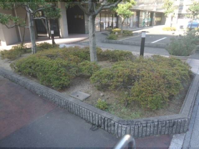 植栽