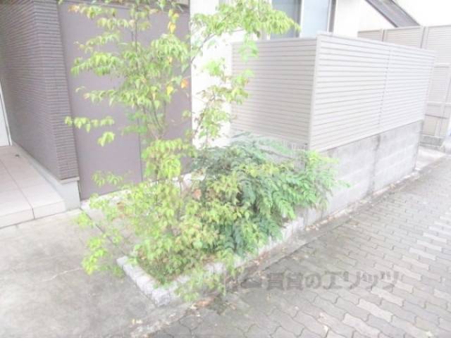 植栽