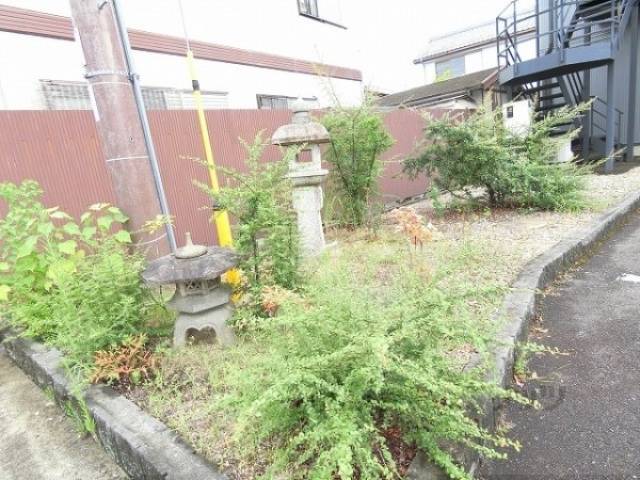 植栽