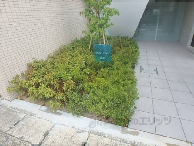植栽