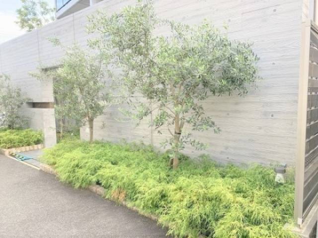 植栽