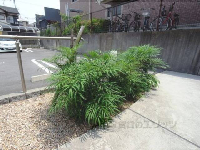 植栽