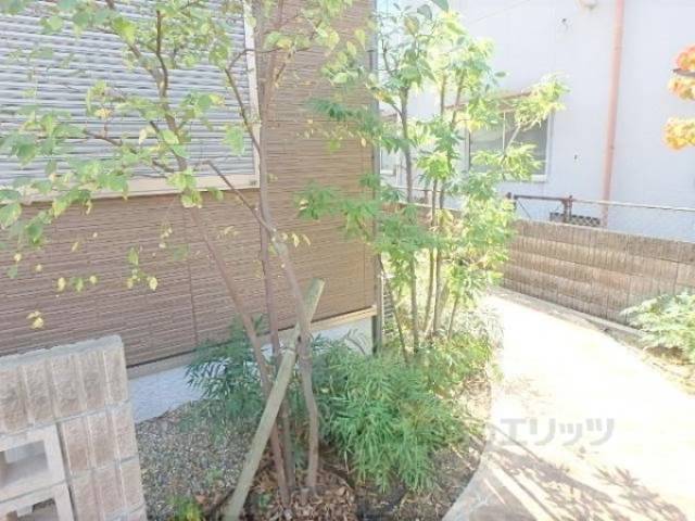植栽