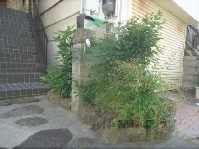 植栽