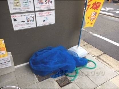 ゴミ置き場