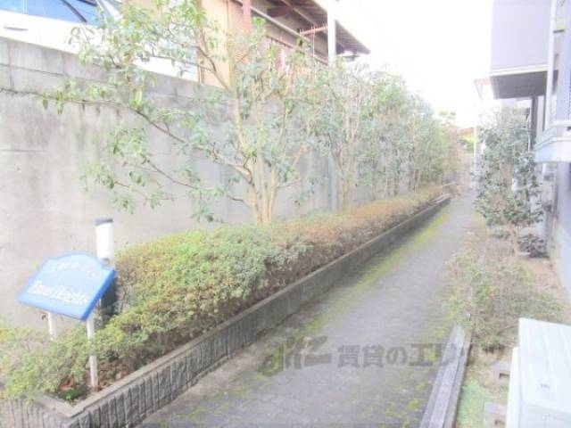 植栽