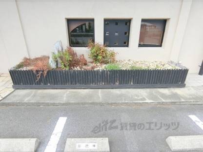 植栽