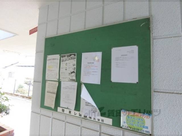 掲示板