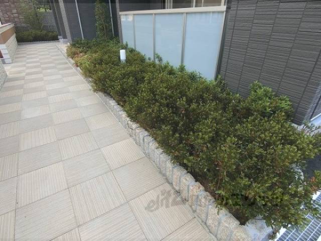 植栽
