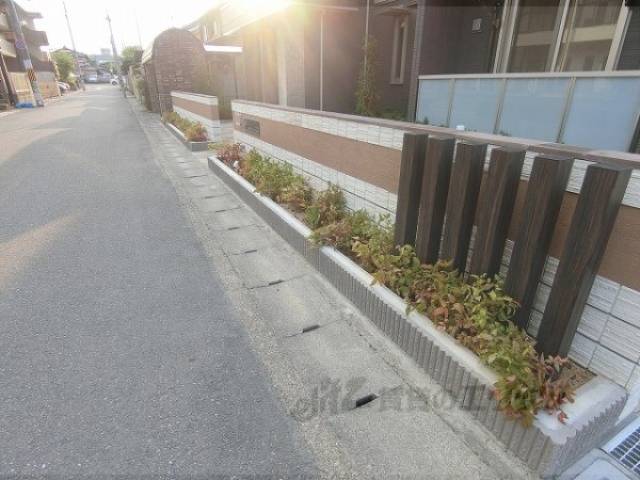 植栽