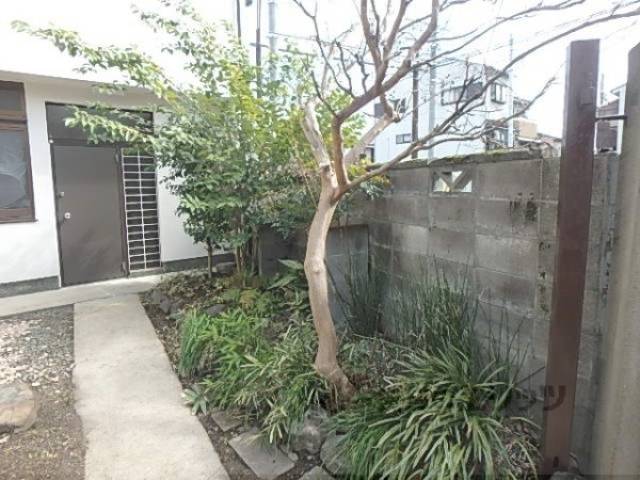 植栽