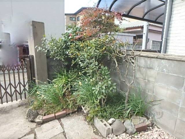 植栽