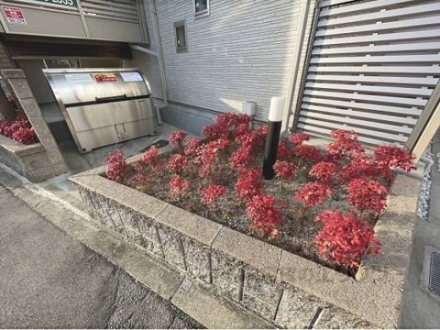 植栽