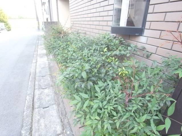 植栽