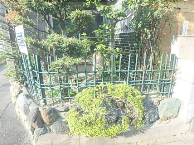 植栽