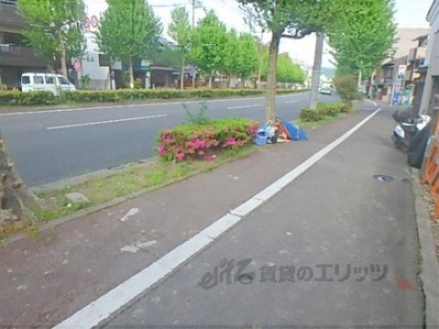 前面道路