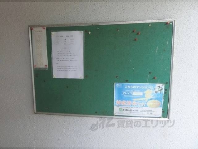 掲示板