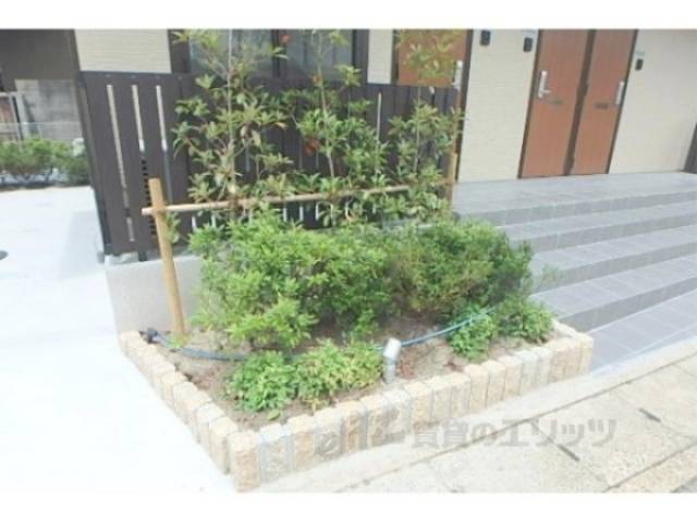 植栽