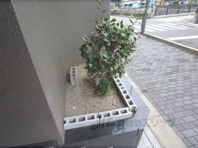 植栽