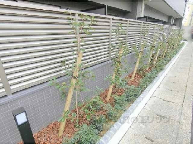 植栽